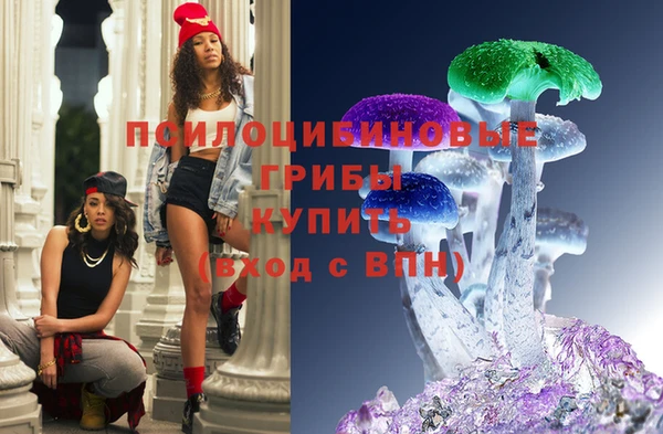 марки lsd Заводоуковск