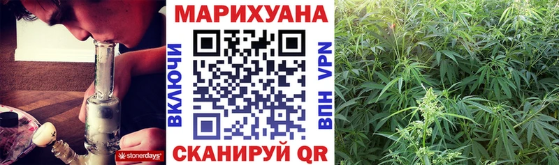 как найти наркотики  блэк спрут как зайти  Бошки Шишки AK-47  Новая Ляля 
